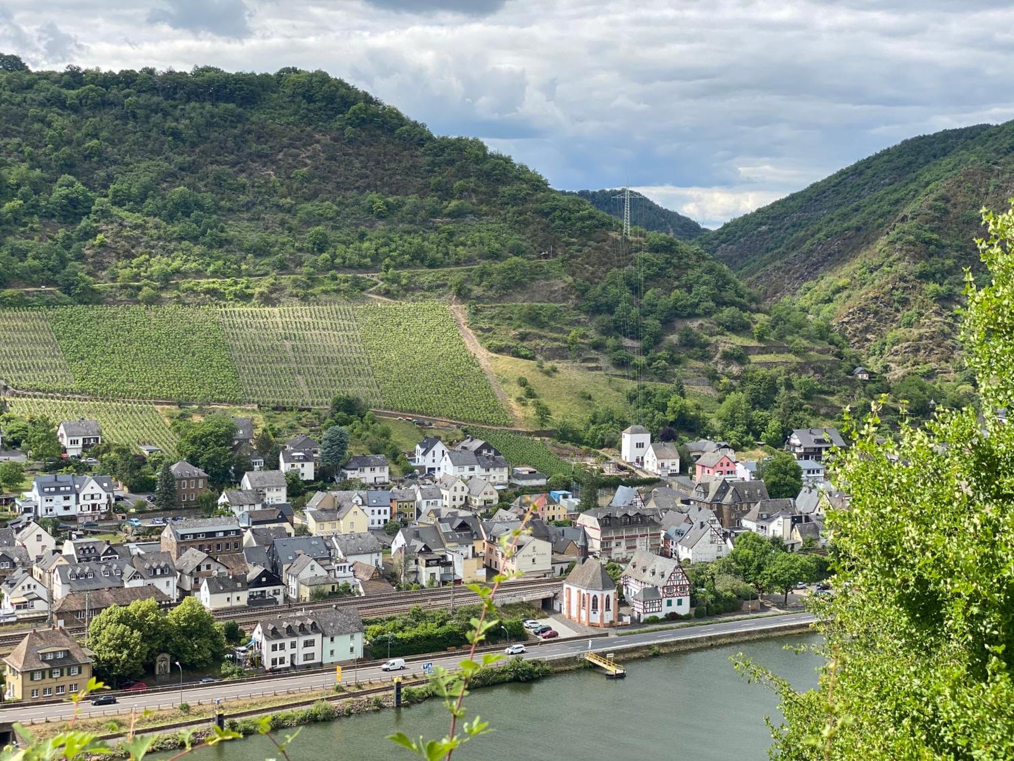 Mike'S Mosel Lodge Трейс-Карден Екстериор снимка