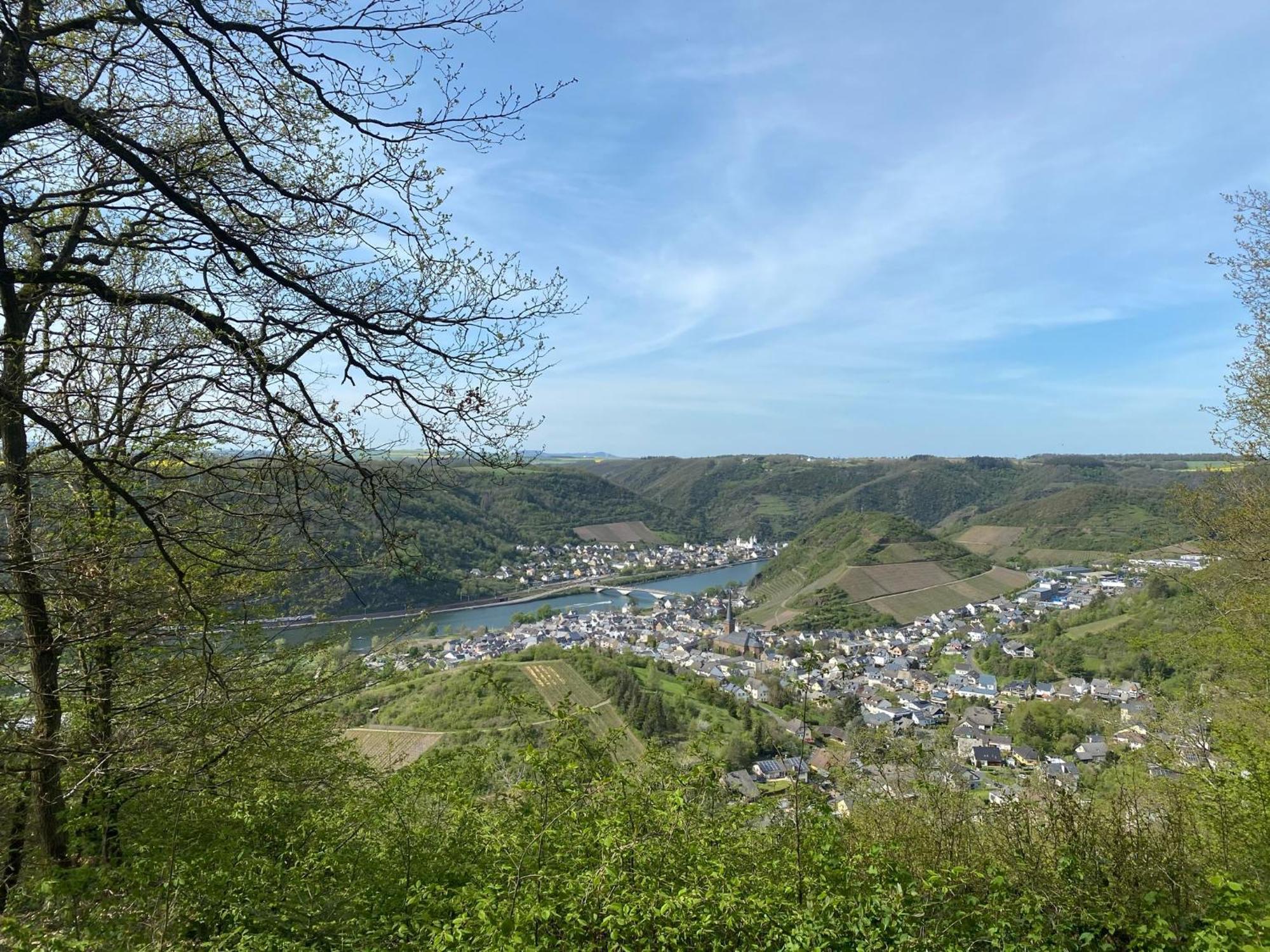 Mike'S Mosel Lodge Трейс-Карден Екстериор снимка